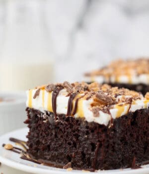 A close-up shot of a piece of better than sex cake on a white plate