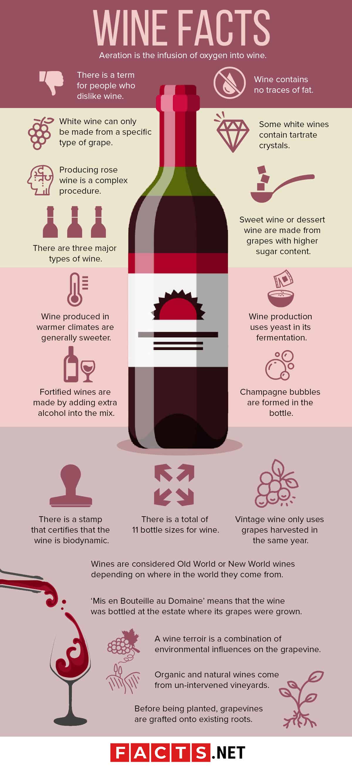 wine facts infographics
