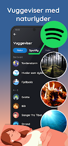 Skjermbilde