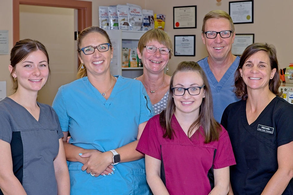 Pet Photos Vernon Photo Gallery Sunridge Veterinary Clinic