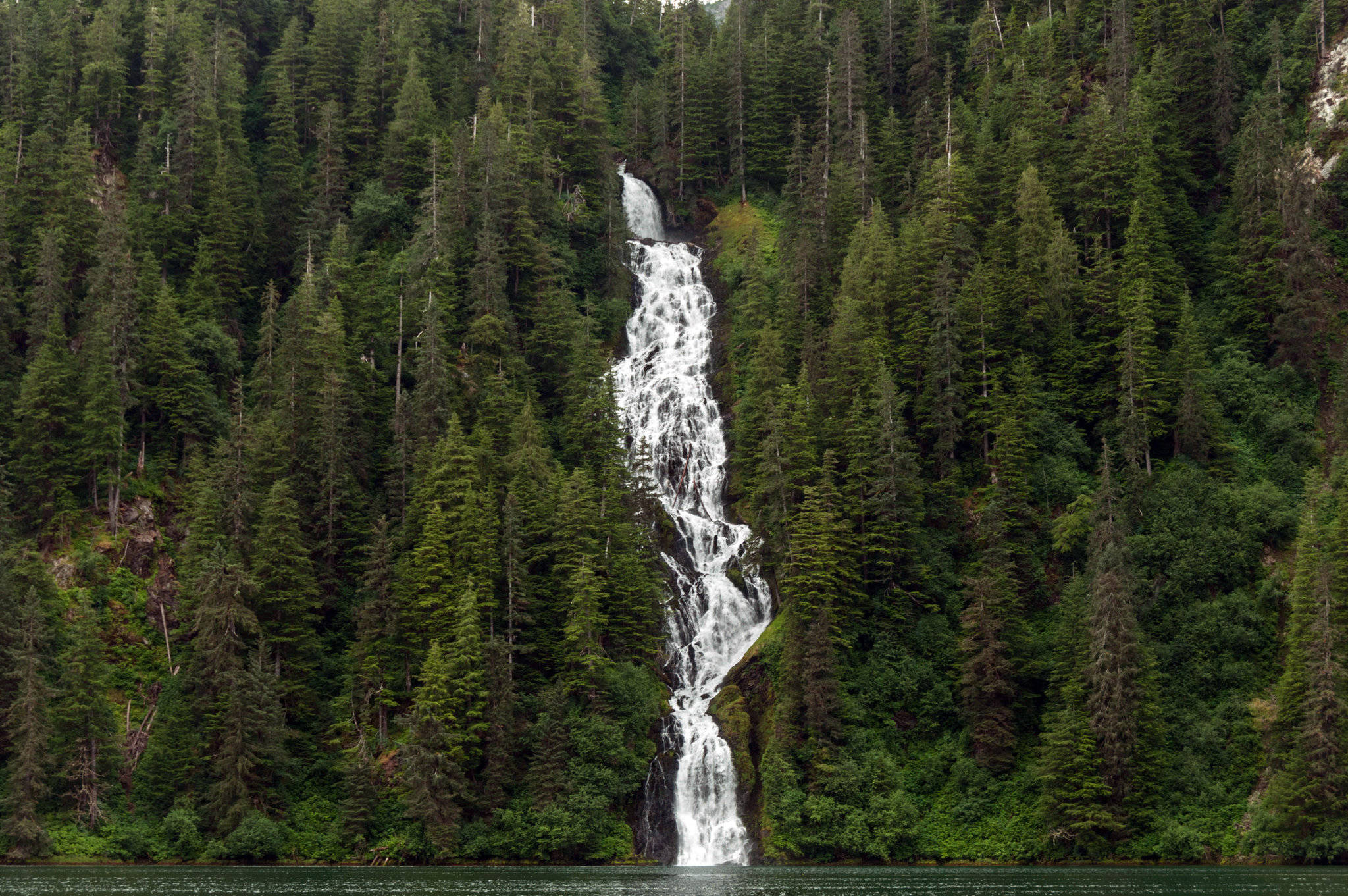 Mystical Alaska Temperate Rainforest Wallpaper — A cascading waterfall plunges through a dense evergreen forest into a calm lake below.
