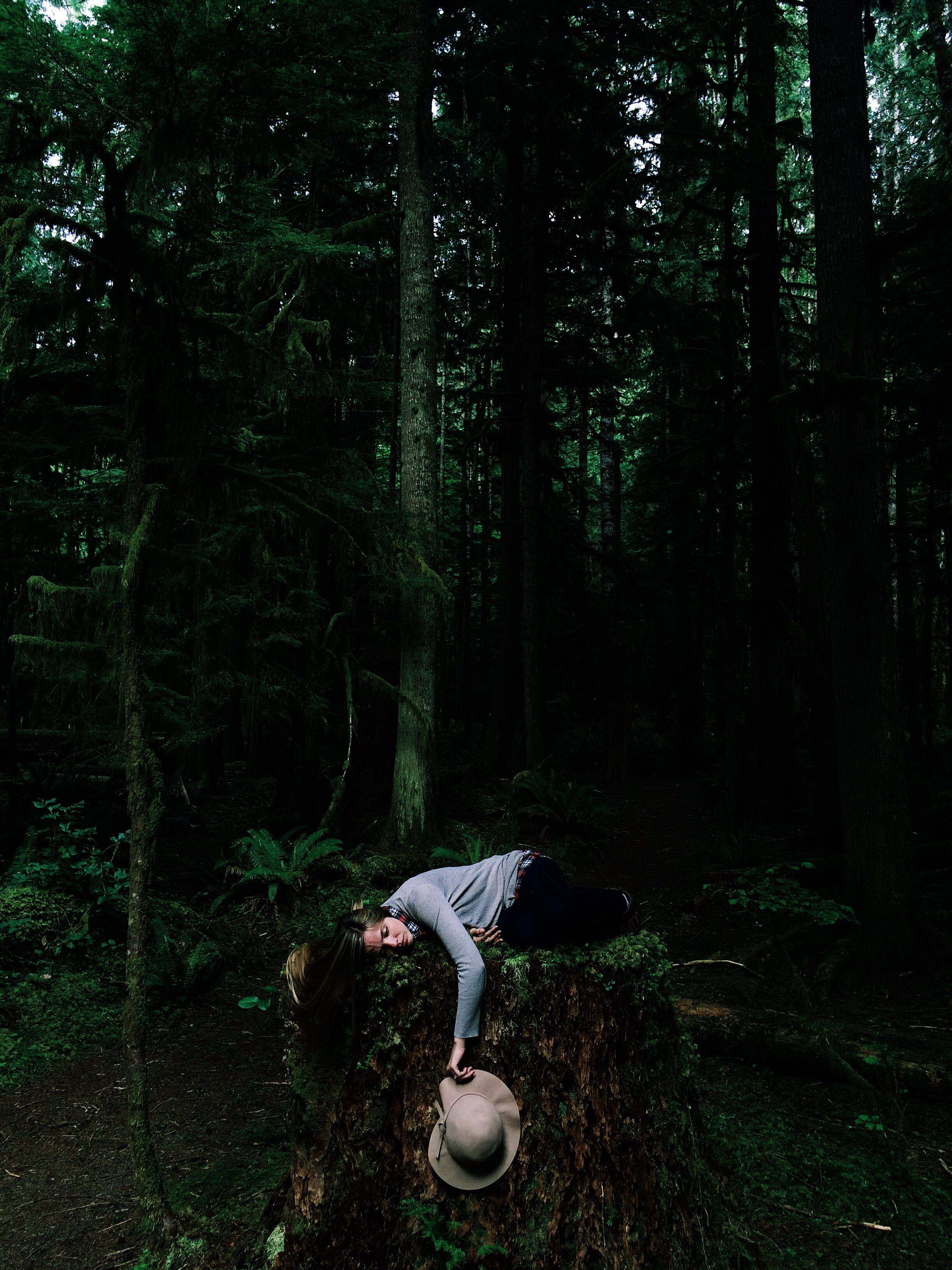 Sleep In Calm Rainforest Wallpaper — A person rests peacefully on a mossy tree stump in a dense, shadowy forest with towering trees.