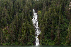 Waterfall flowing through dense forest into a lake — Rainforest Wallpaper