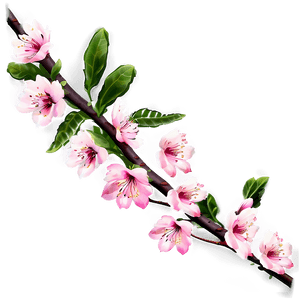 Pink cherry blossoms on a branch with green leaves glowing softly. — Flowers PNG