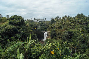 Tropical waterfall surrounded by dense jungle and palm trees under cloudy sky
