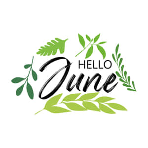 Hello June text design with green leafy accents on white background