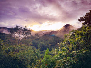 Misty mountains at sunrise with lush green forest in foreground — Rainforest Wallpaper