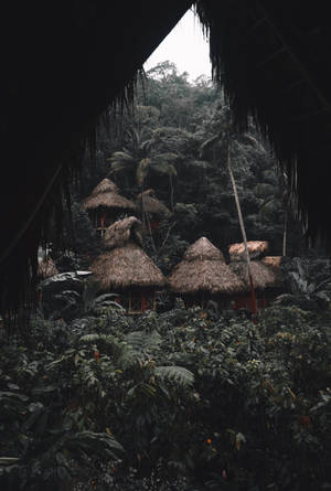 Thatched huts hidden in a dense tropical jungle viewed from under a roof.