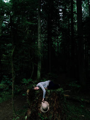 A person lying on a mossy tree stump in a dark forest.