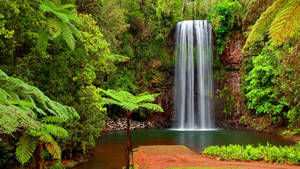 A waterfall flows through a dense green jungle into a calm pool.