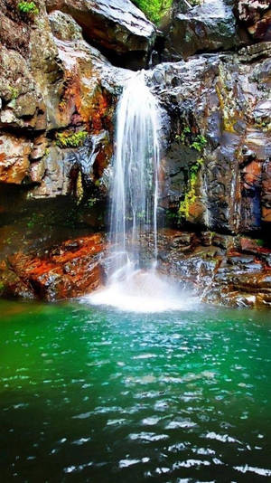 Waterfall plunges into a clear green pool surrounded by mossy rocks.