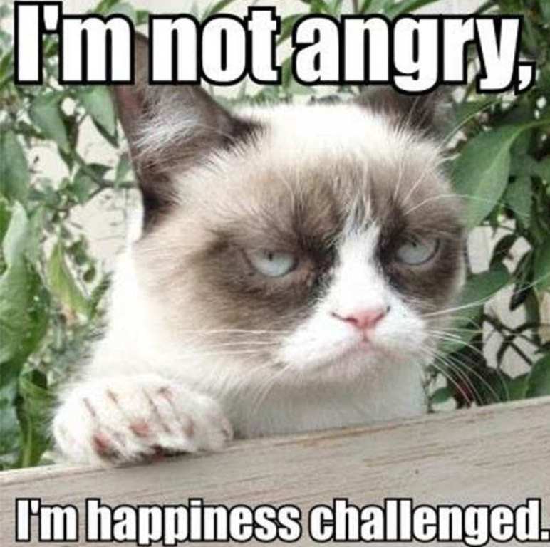 Why Is The Grumpy Cat Always Angry?